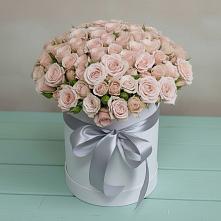 Цветочная композиция из Розы в шляпной коробке #REPLACE_PRED# Костино-Отдельце