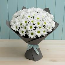 Букет цветов из:  Хризантемы #REPLACE_PRED# Костино-Отдельце