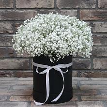 Цветочная композиция из Гипсофила в шляпной коробке в Костино-Отдельце
