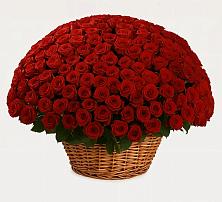 Премиум букет из: Розы в Костино-Отдельце